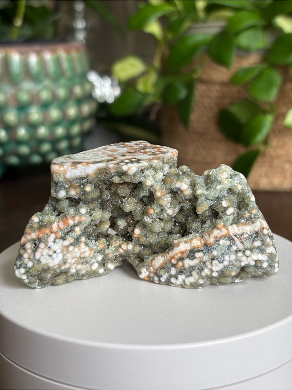 Druzy Ocean Jasper Crystal Freeform - Orbicular Jasper - Polished Sea Jasper